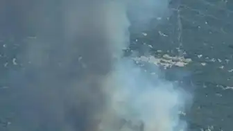 İzmir Bornova'da Orman Yangını: Ekipler Havadan ve Karadan Müdahale Ediyor