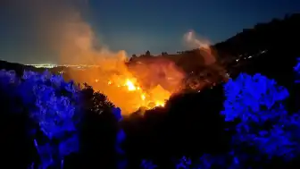 İzmir Ödemiş'te Ormanlık Alanda Yangın Çıktı