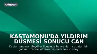Kastamonu'da Yıldırım Düşmesi Sonucu Can Kaybı