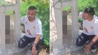 Kırıkhan'da Sahipli Köpek Elektrik Direğine Asılı Bulundu