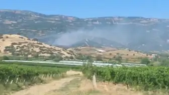 Manisa Sarıgöl'de maki yangını ormana sıçradı