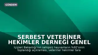 Serbest Veteriner Hekimler Derneği Genel Başkanı Bilsay Kanat: "Bize kaçını topladığınızı değil, kaçını yaşattığınızı söyleyin"
