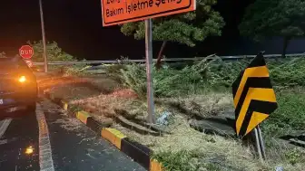 Zonguldak'ta Trafik Kazası: 5 Yaralı