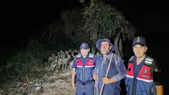 Bilecik'te Kayıp Çoban ve 100 Koyun Bulundu
