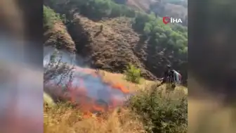 Bingöl'ün Genç İlçesinde Orman Yangını: Ekipler Seferber Oldu