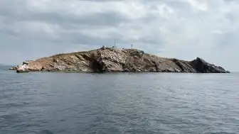 İstanbul'daki Tavşan Adası Neden Girişe Kapalı? İşte Sebebi