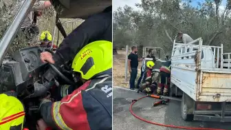 Eşek Arısı Paniği Zeytin Tarlasına Sürükledi: 2 Yaralı