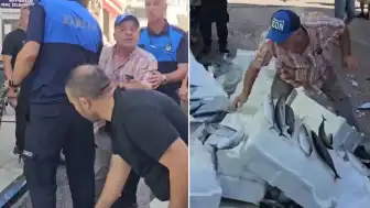 İzmir'de Zabıta Uyarısına Sinirlenen Balıkçı Esnafı, Tezgahındaki Balıkları Yere Fırlattı
