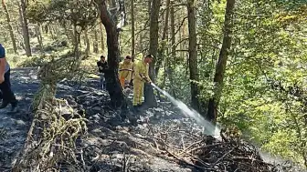 Ordu'nun Mesudiye İlçesinde Orman Yangını Söndürüldü
