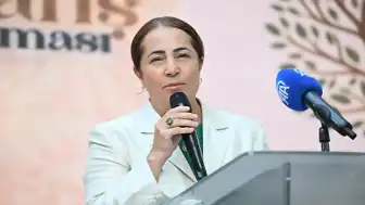 Türkiye'de Nüfus Tablosu Endişe Veriyor: Hanelerin Yüzde 58'inde Çocuk Sesi Yok