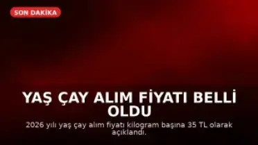 Yaş Çay Alım Fiyatı Belli Oldu