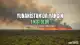 Yunanistan'da Orman Yangını: Bir Kişi Hayatını Kaybetti