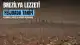 Brezilya Mutfağının Geleneksel Lezzeti: Feijoada Hazırlanış Rehberi