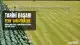 Wimbledon 2026: Arthur Fery, Flavio Cobolli'yi Eleyerek Yarı Finale Yükseldi