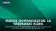 Bursa Osmangazi'de 16 Yaşındaki Kızın Kaybolması Üzerine Arama Çalışması Başlatıldı