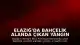 Elazığ'da Bahçelik Alanda Çıkan Yangın Kontrol Altına Alındı