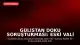 Gülistan Doku Soruşturması: Eski Vali Tuncay Sonel ile İhraç Edilen Polis Arasındaki Yazışmalar Ortaya Çıktı