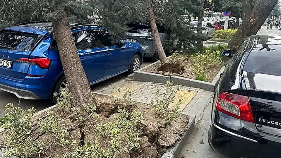 Ankara'da Şiddetli Rüzgar Hayatı Felç Etti: Ağaçlar Devrildi, Çatılar Uçtu