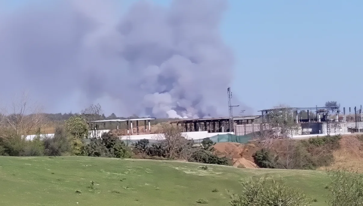 Beykoz'da Orman Yangını: Müdahale Sürüyor