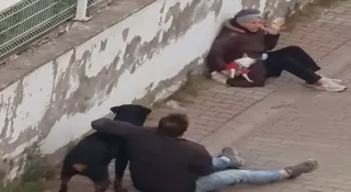 Ümraniye'de Sahipsiz Rottweiler Küçük Köpeğe Saldırdı