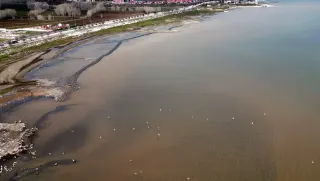 Van Gölü'nde Renk Değişikliği: Kahverengiye Dönen Kıyılar Endişe Yarattı