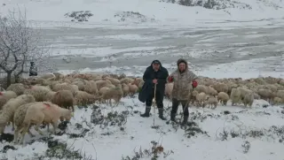 Tipi Nedeniyle Yaylada Mahsur Kalan Çobanlara ve Hayvanlara Ulaşıldı
