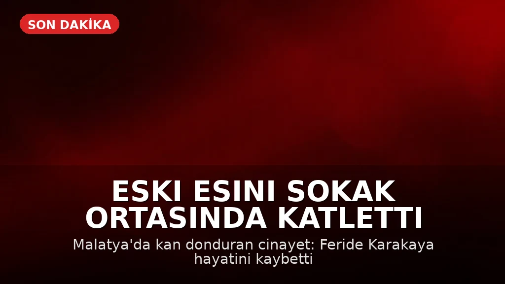 Malatya'da Eski Eş Cinayeti: F.K. Sokak Ortasında Katledildi