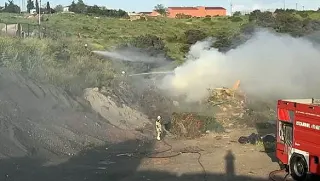 Ümraniye'de Hayvan Barınağı Yakınında Yangın Paniği